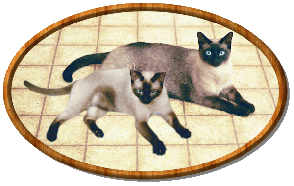 Click to see the kids up close!